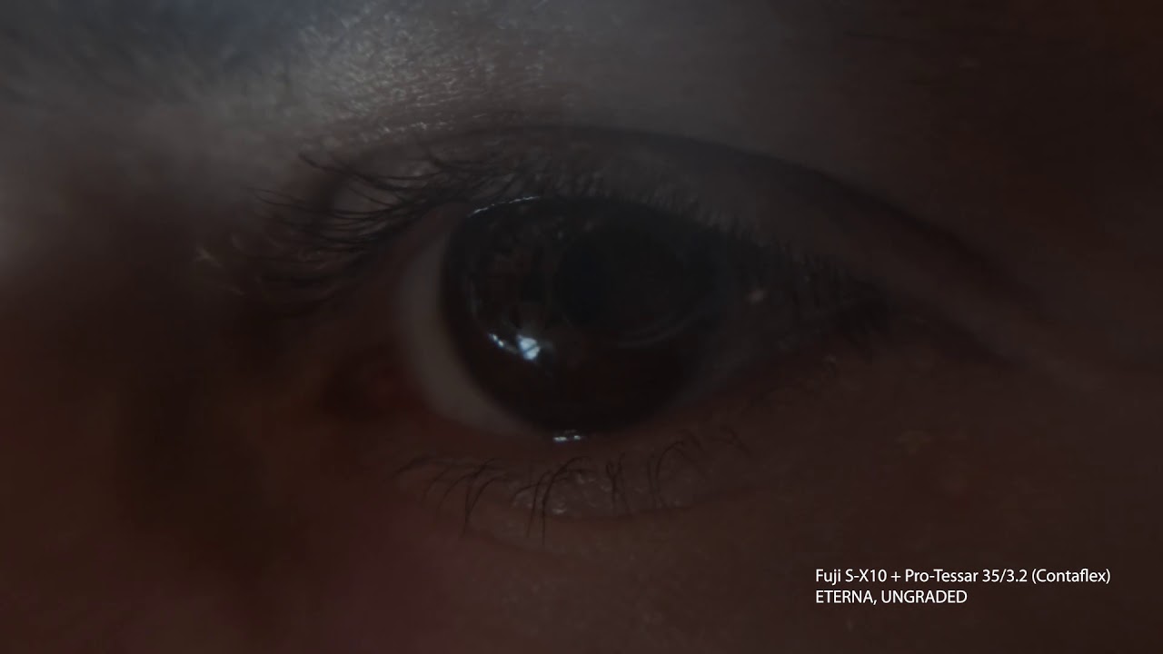 Macro Test Footage Zeiss Pro-Tessar 35mm f/3.2 Contaflex & Fuji S-X10