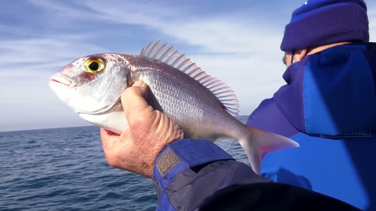PESCA a BOLENTINO IN ZONA ARANCIO con canne da pesca in mare da barca Colmic | Pesca Dalla Barca TV