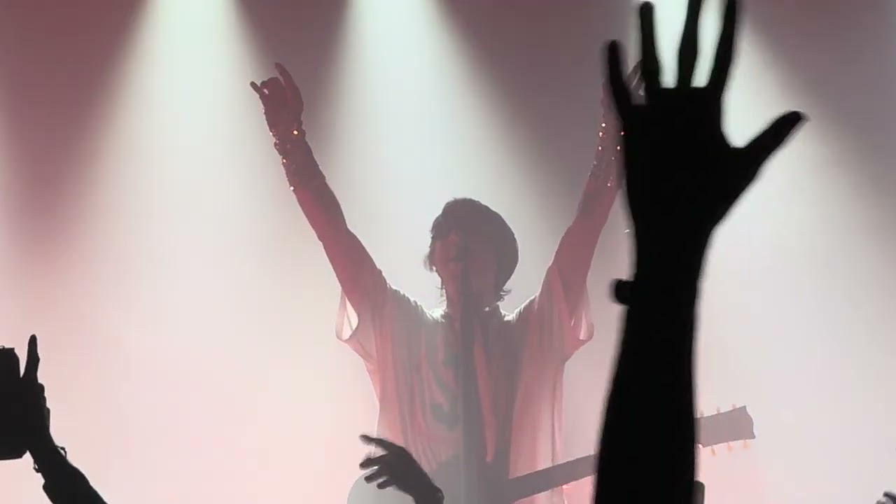 Bilderbuch Live in London: Unforgettable Night at The Garage