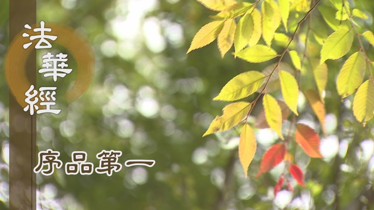 【靜思妙蓮華】法華經序品第一 - 聞成就 - 20191108 第22集