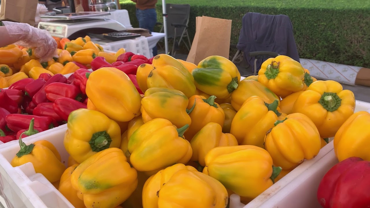 WHERE TO GET ORGANIC, LOCAL FRUITS and VEGETABLES IN DUBAI?