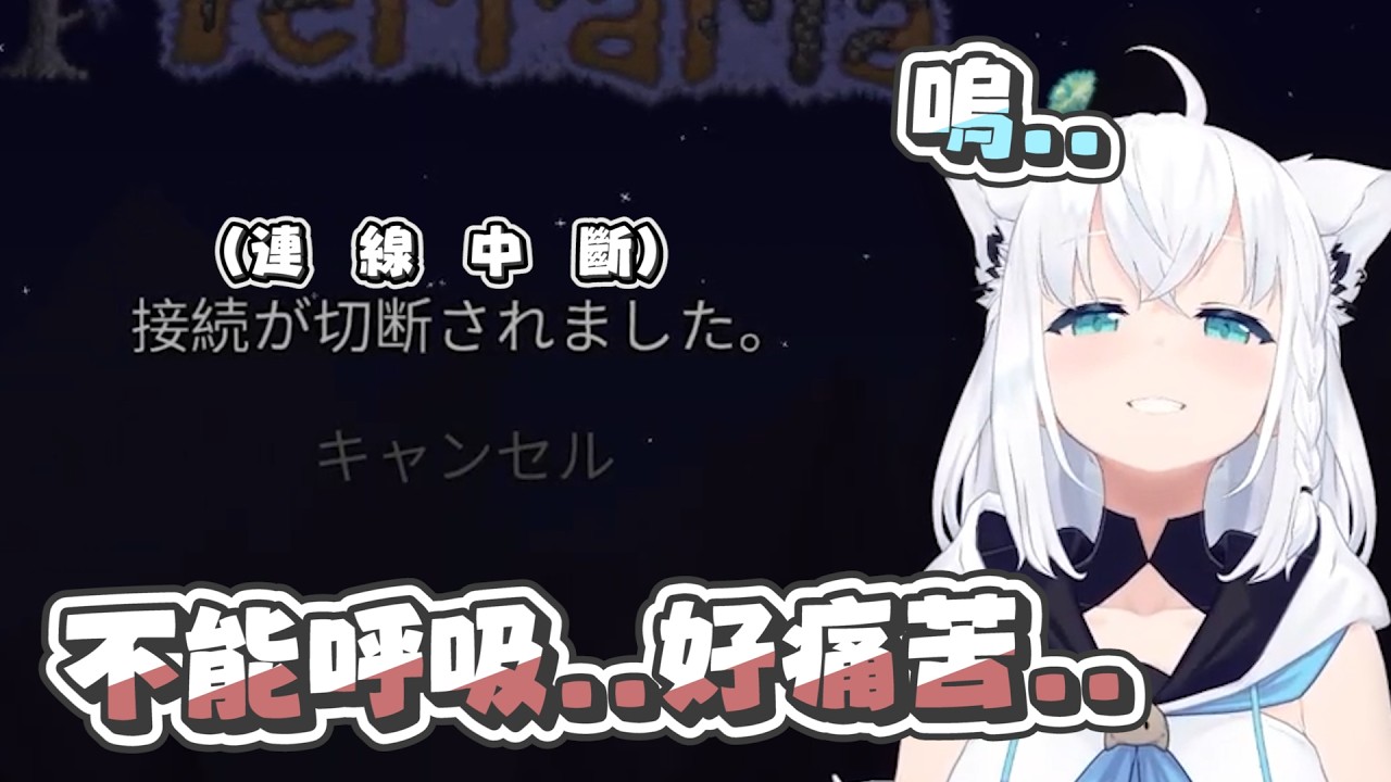 【Terraria】泰拉瑞亞戒斷症｜【 hololive / 白上吹雪】