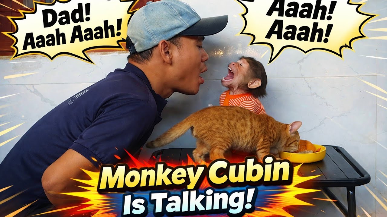 This Baby Monkey Cubin&rsquo;s Sweet Hugs with Dad Will Melt Your Heart ❤️🐵