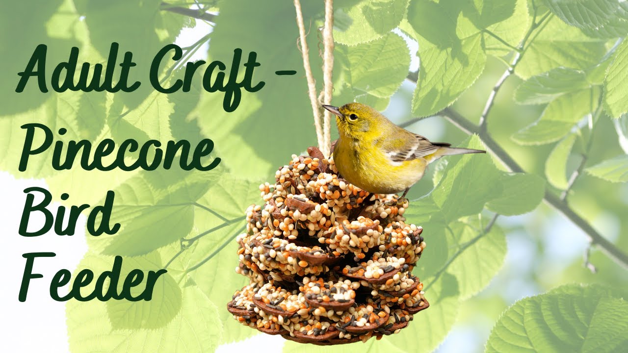 Pinecone Bird Feeder