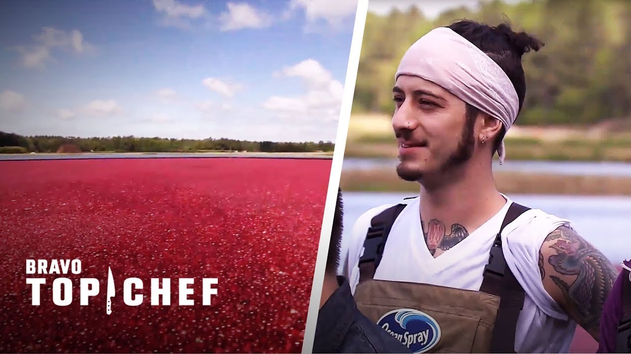 The Great Cranberry Race | Top Chef: Boston