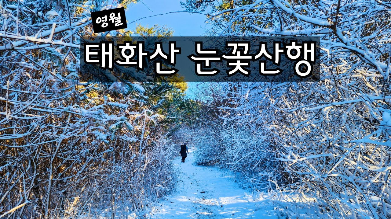 영월 태화산 눈꽃산행(흥교분교-태화산정상-고씨동굴)  8.9km/5시간(26년1월11일)