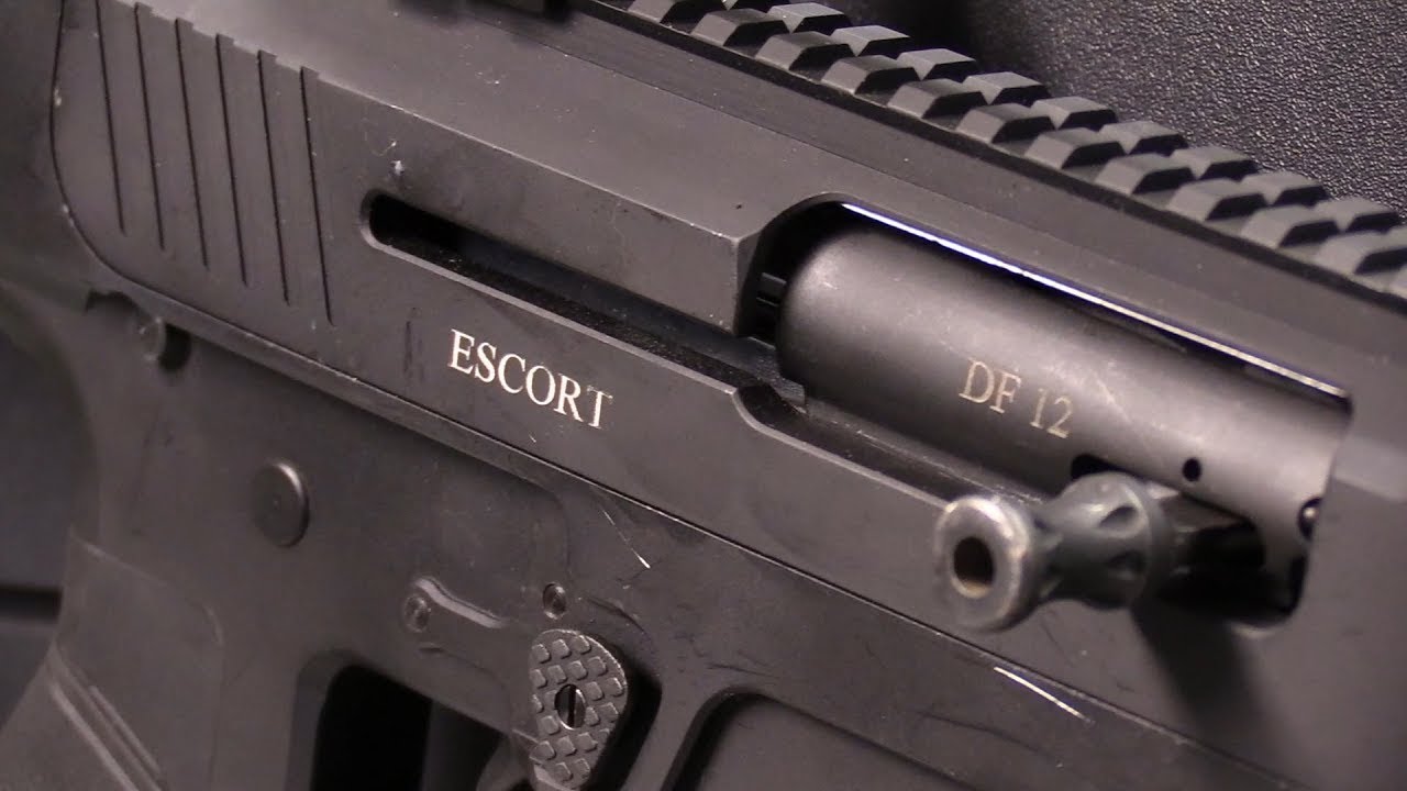 Hatsan Escort DF12: дробовик AR