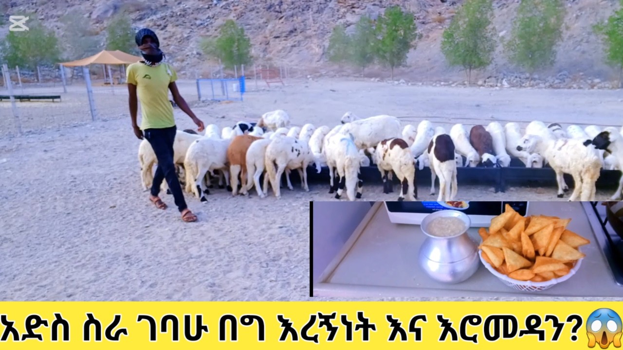 በጎቸን🐏 እየጠበኩ የሰራሁት ፍጡር😊😱ኑ ተማሩ