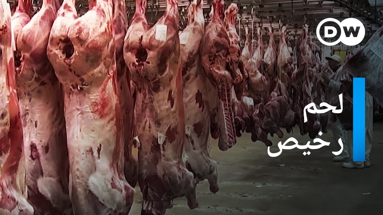 ريبورتاج | استغلال العمال الأجانب في ألمانيا | وثائقية دي دبليو