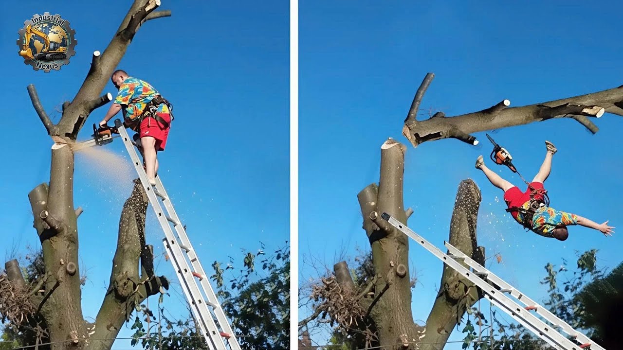 Idiots With Chainsaws: Tree Cutting Fails | Extreme Dangerous Logging Truck Fails #20