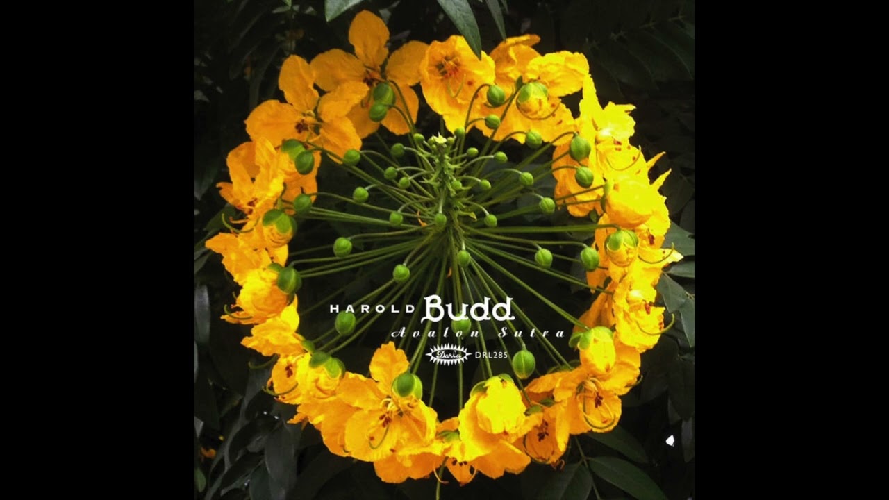 Harold Budd - Avalon Sutra (Full Album)