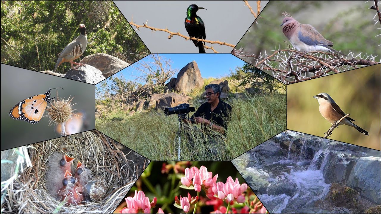 ربيع بني كبير *وثائقي1*(KSA)