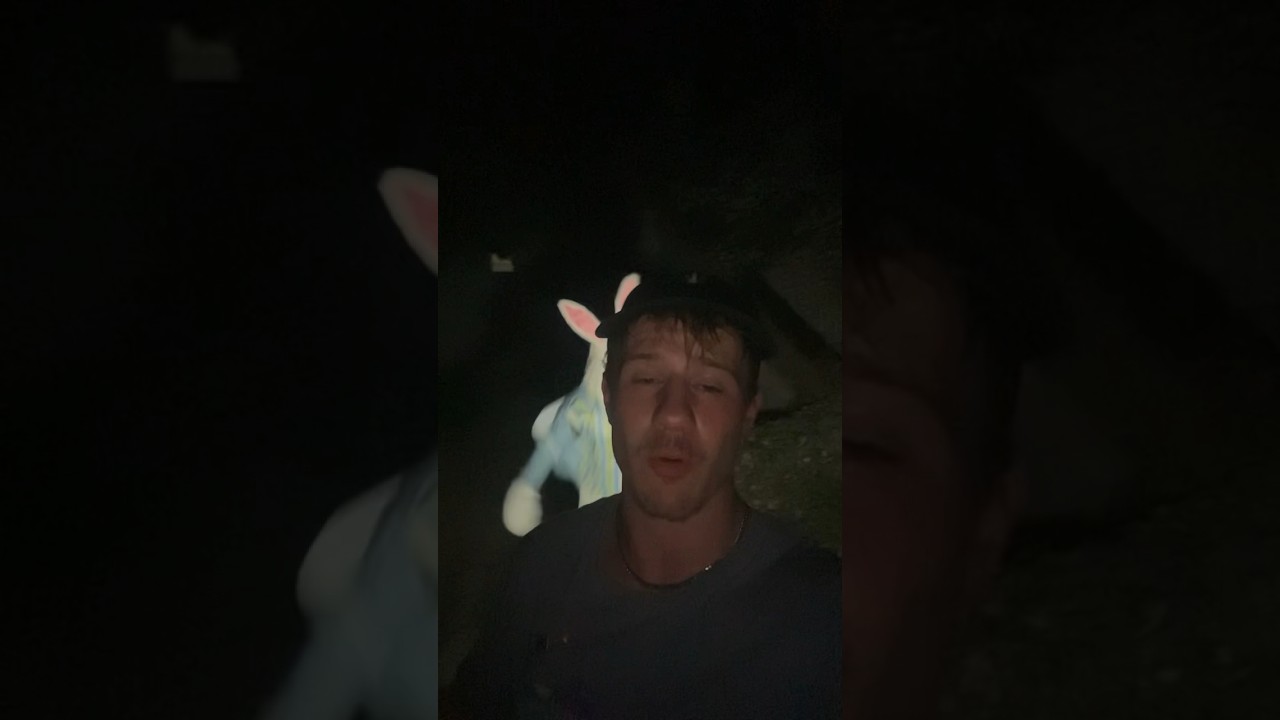 На меня напал Кролик…