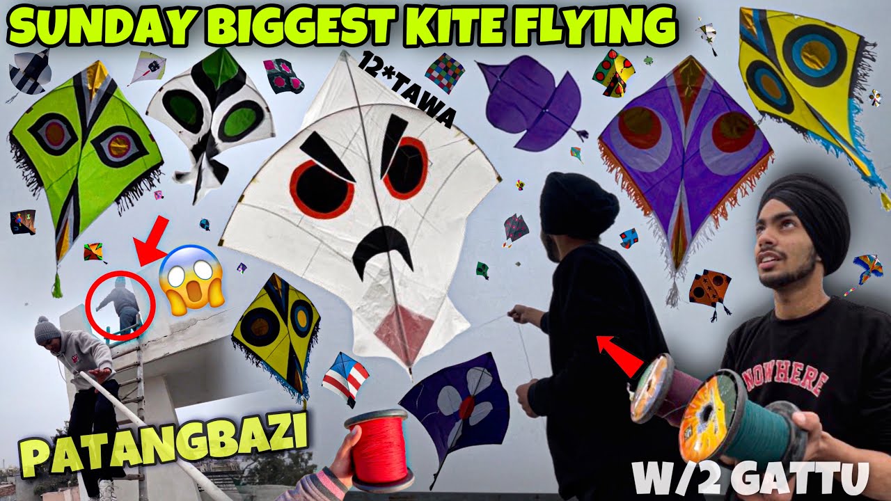 Sunday Biggest Kite Flying😱12*Tawa W/2 Gattu🥶PATNAGBAZI🪁