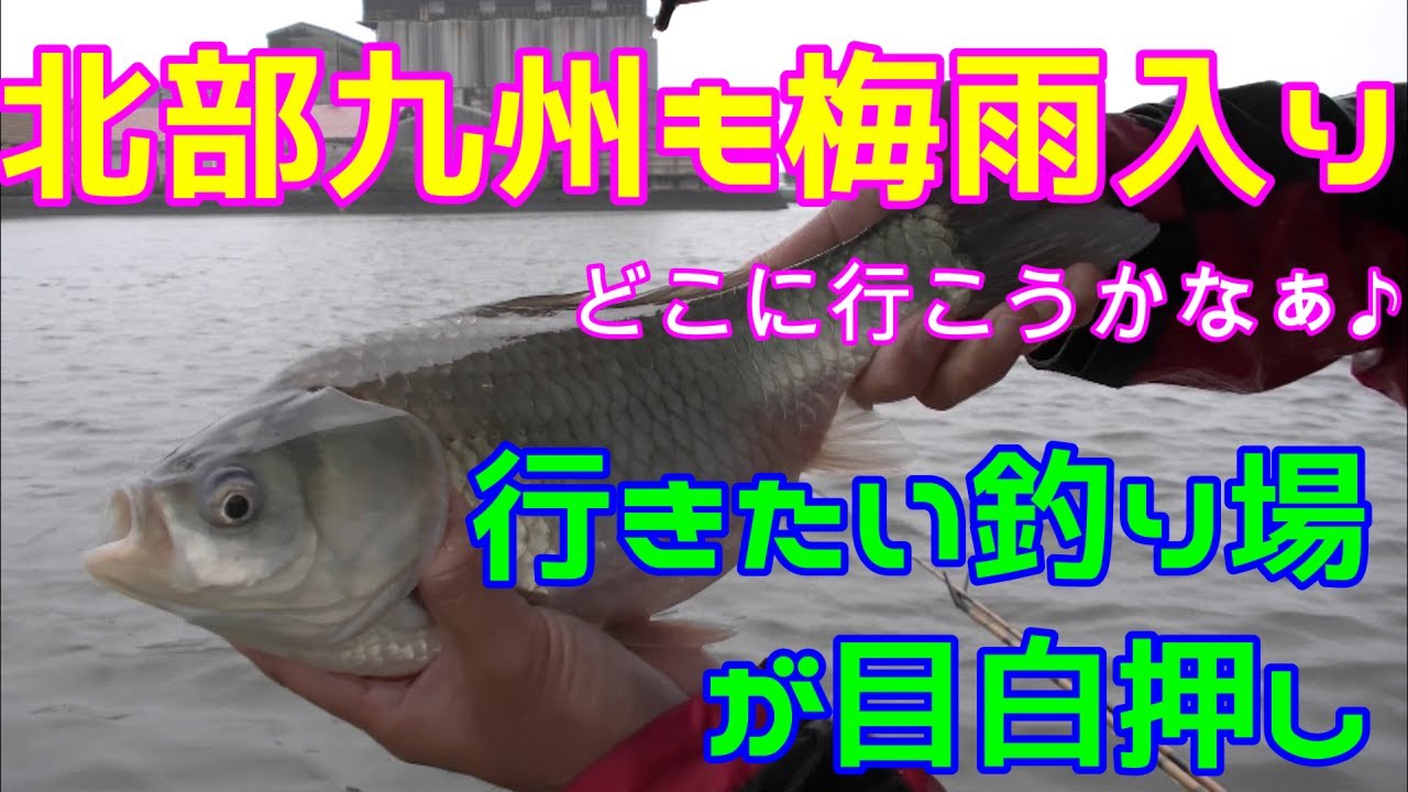 北部九州も梅雨入りしましたね♪どこに行こうかな♪　北山ダム～クリーク釣行