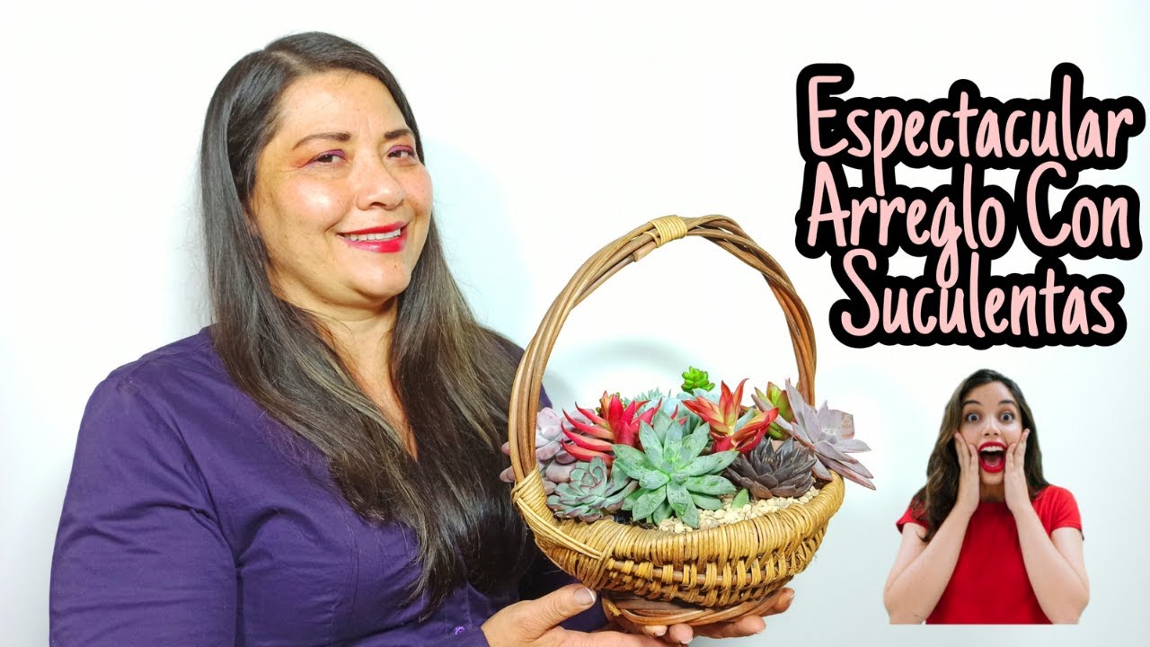 Hermoso Arreglo Con Suculentas En UN CANASTO! 🌴