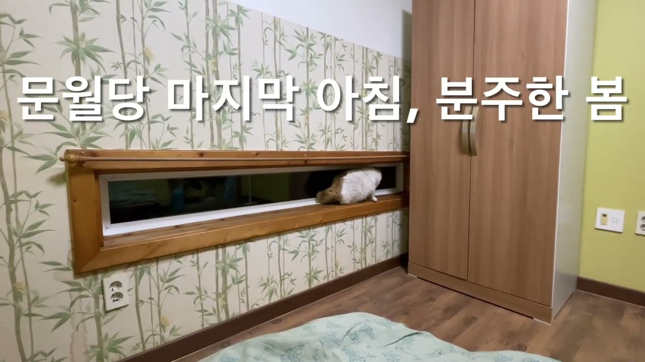 바람의 아침 21 - 이삿날 새벽