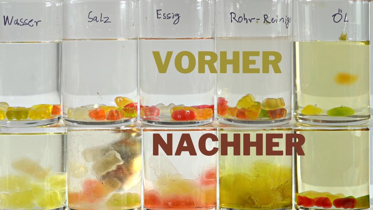 Gummibärchen in Wasser, Essig und Öl – Mitmachexperiment