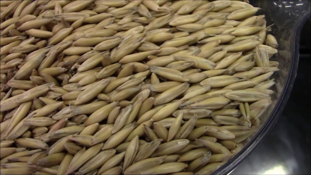 Oat Dehuller FULL HD