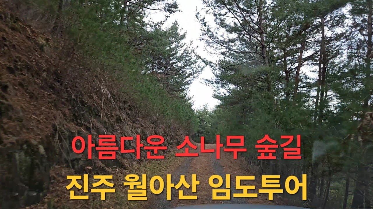 🙋‍♂️🙋‍♀️  경남 진주 💥월아산 임도투어💥