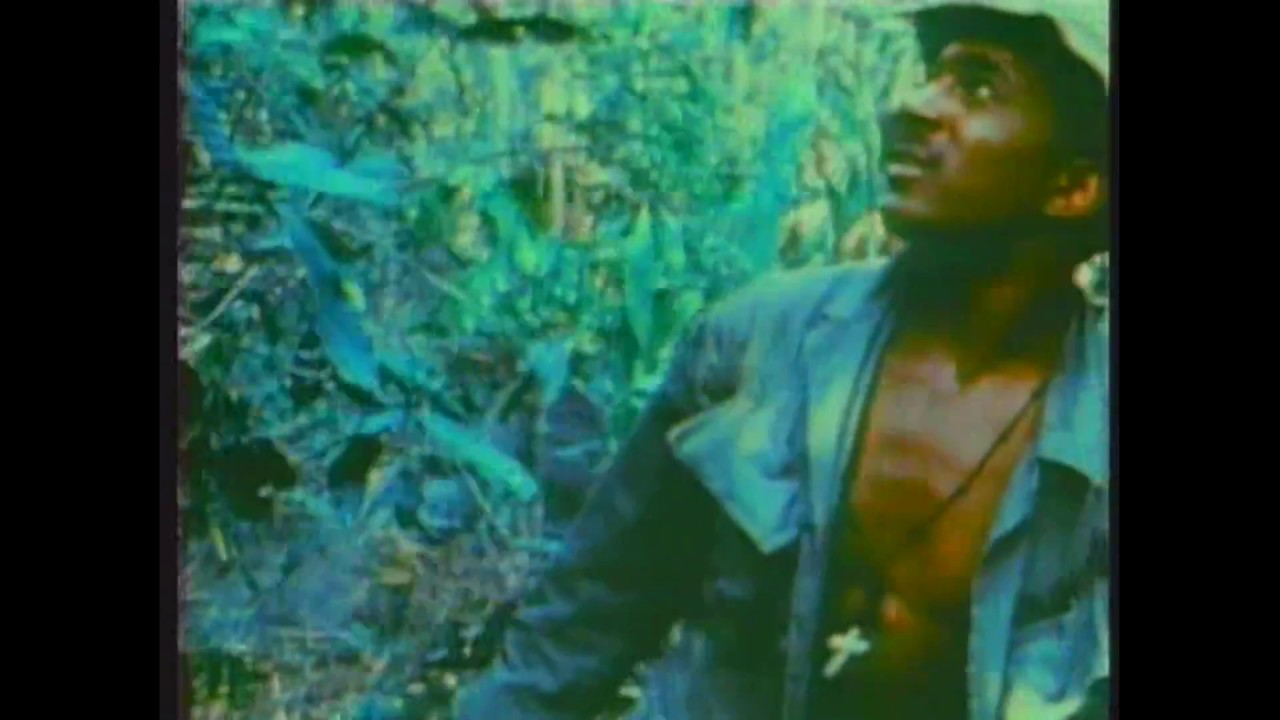Vietnam War; Combat Assault (Battle with NVA)
