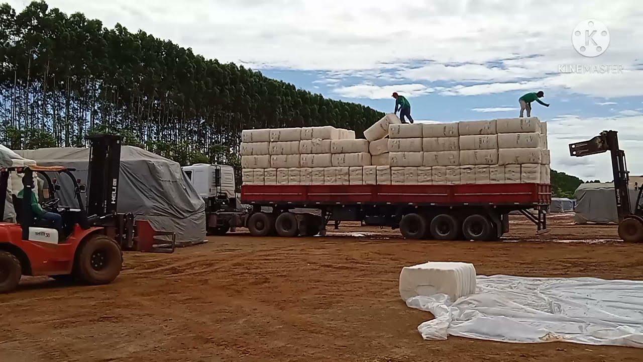 COMO &Eacute; FEITO EMBARQUE EM  CARRETA CARGA SECA 140 FARDOS DE PLUMA ALGOD&Atilde;O