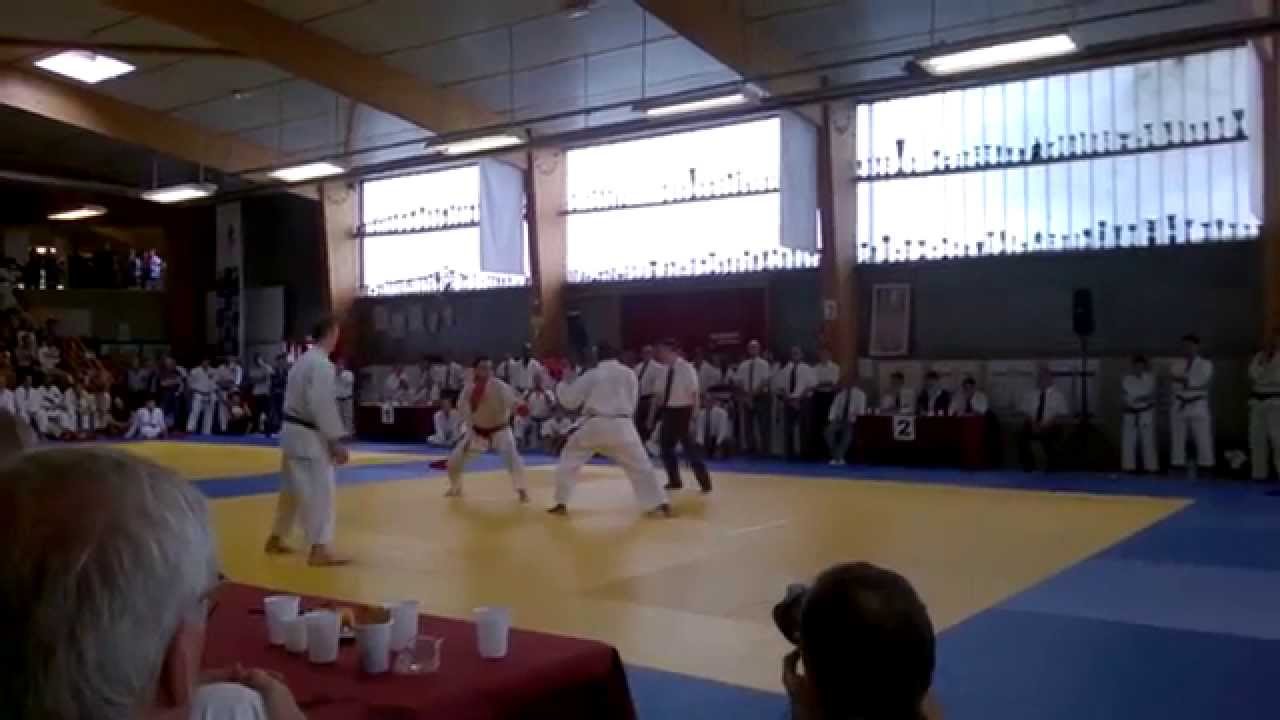 France Shotokan 50th anniversary men final Kumite