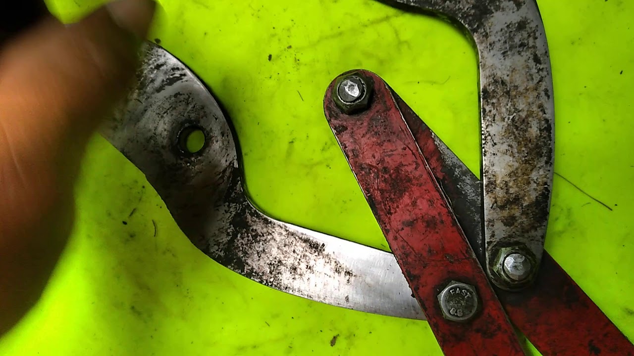 Pinus radiata forestry pruning (parts, tools and maintenance)