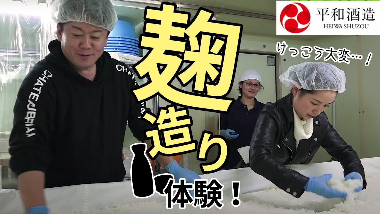 麹造り＆醪造りを体験！日本酒はどうやってできる？【平和酒造 酒蔵見学②】