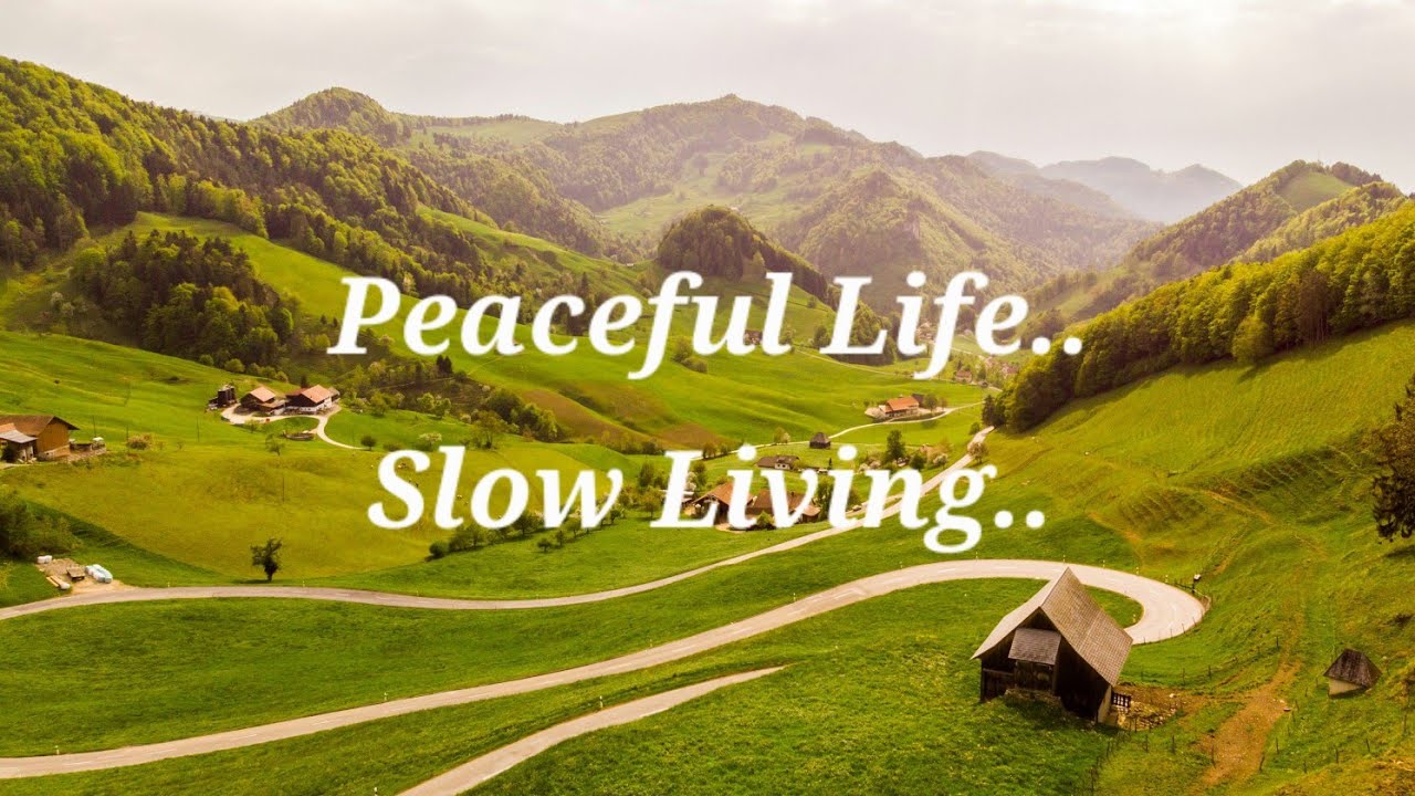 Peaceful Life in Nature.. Slow Living.. Soothing Video🍀😌