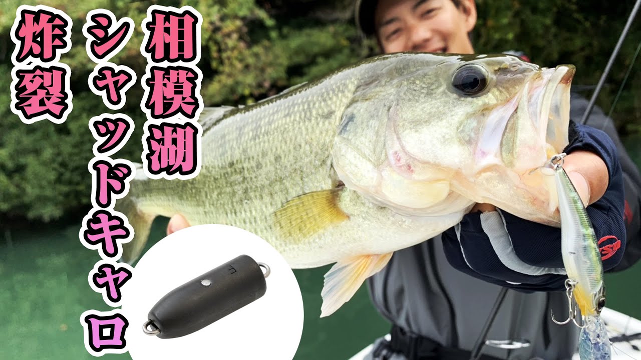 相模湖でシャッドキャロ炸裂！激タフの切り札ハイカットのシャッドキャロ・テクニックを林晃大が解説