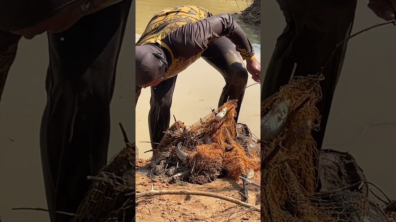 Big fish caught in muddy water 