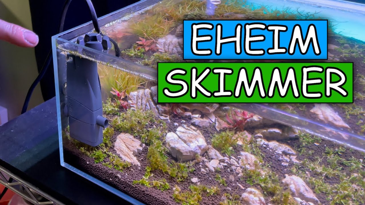 Настройка и обзор Eheim Skim 350