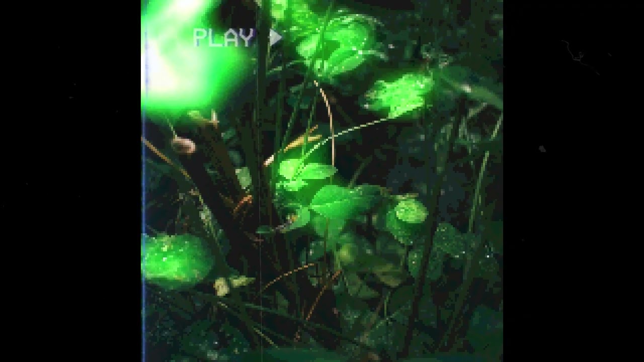 LEAFi   Froschi Beats