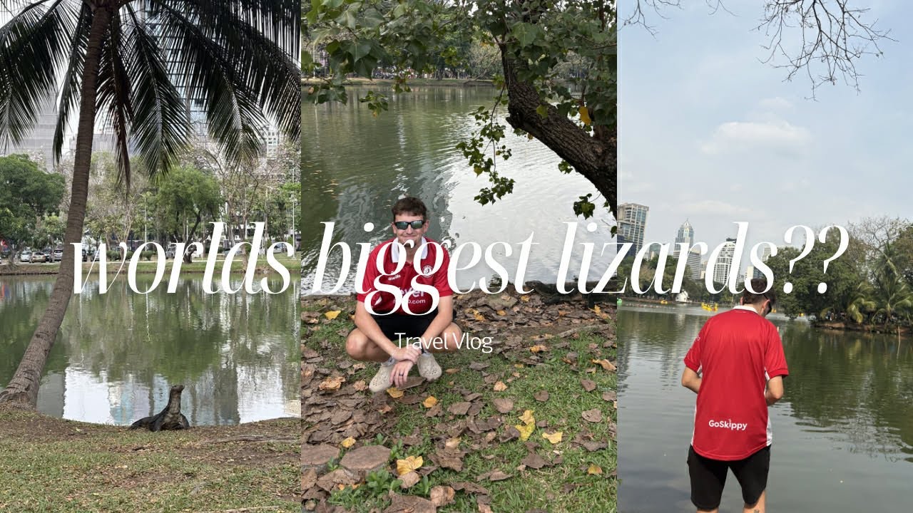 Giant Lizards in Bangkok’s Most Famous Park 🦎🇹🇭| Lumphini Park
