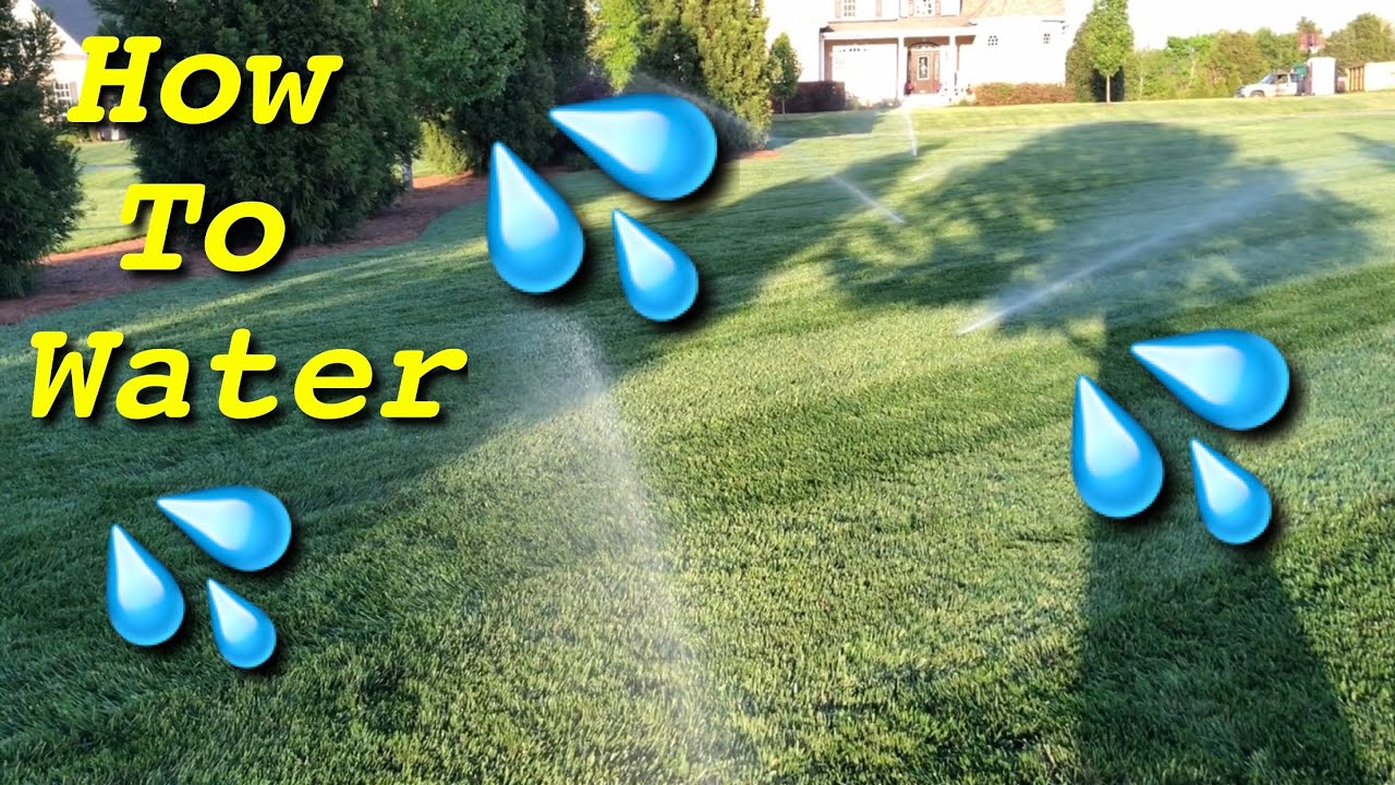 How To Water A Yard