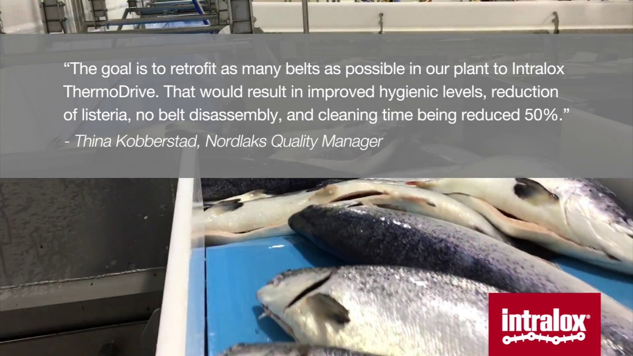 Video Case Study: Intralox ThermoDrive Salmon Processing