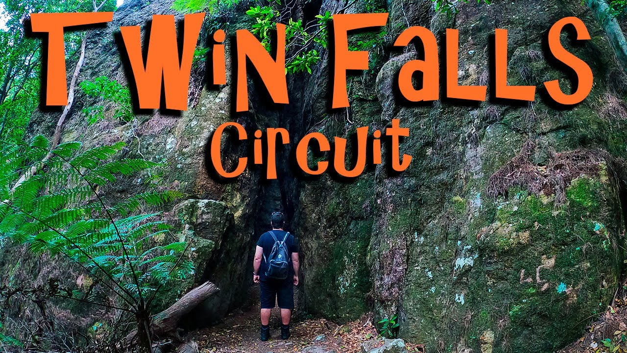 Caves, Cliffs and Cascades- Twin Falls Circuit Springbrook National Park- Gold Coast Hinterland 2020