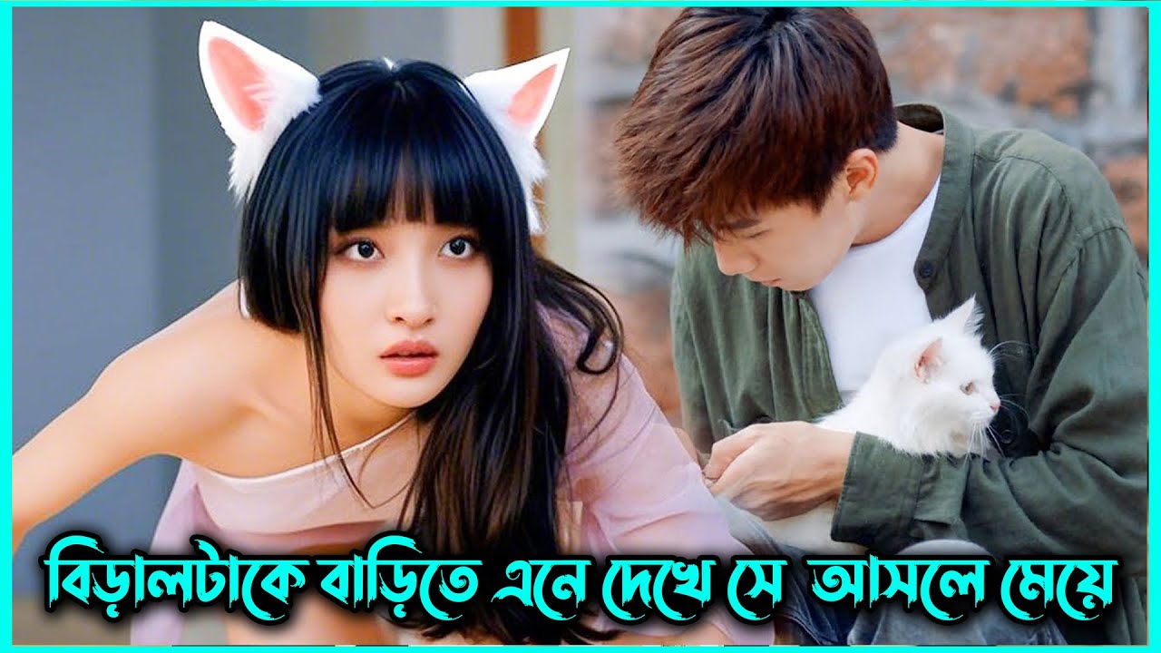 বিড়ালের সাথে ভালোবাসার গল্প 😻। Korean Drama Movie Bangla Explaination