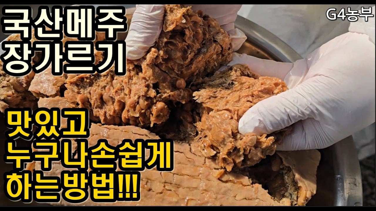 국산메주 장가르기 절대실패없고 손쉽게하는방법 된장가르는시기