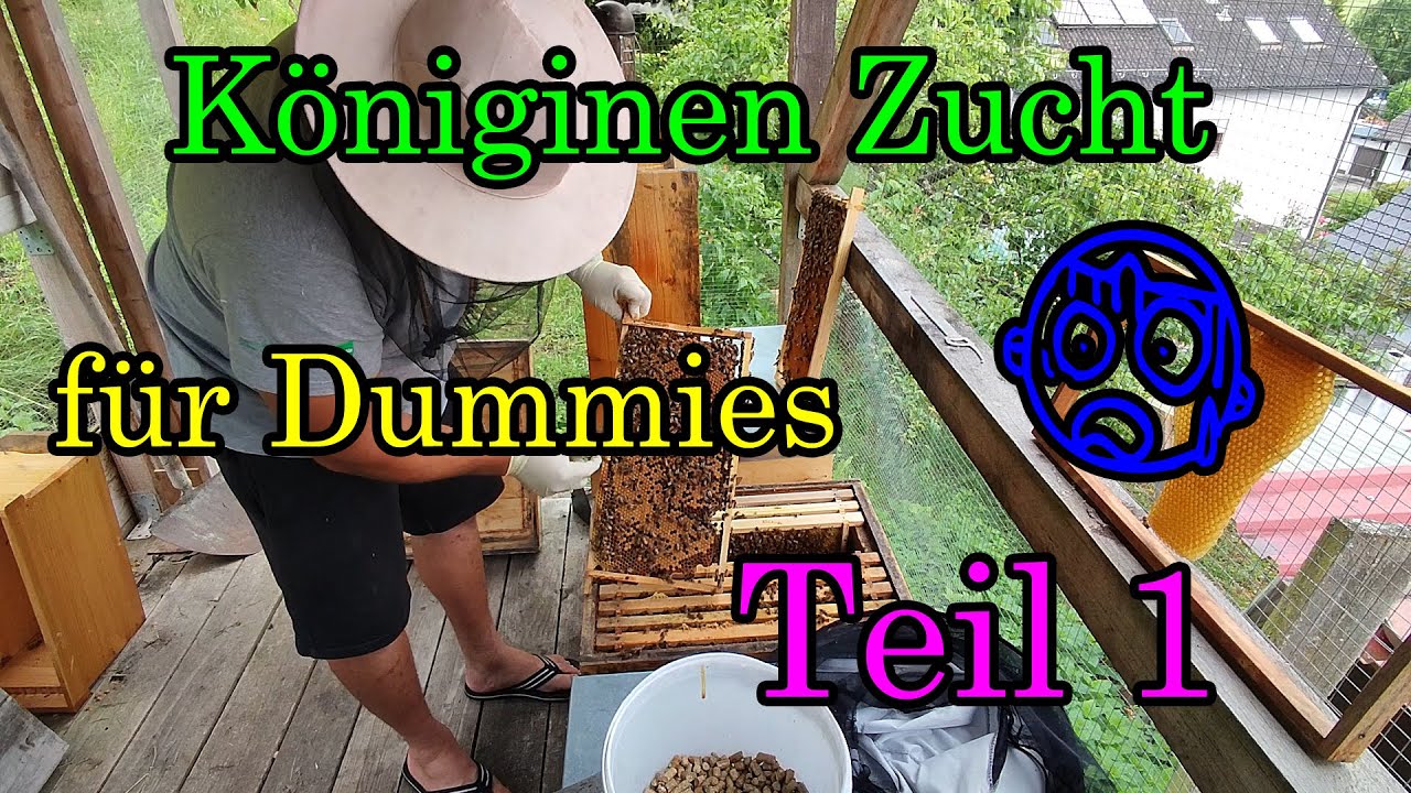 Bienen Königin Zucht Teil 1, Bienenzucht leicht gemacht , Imkern wie da Jupp