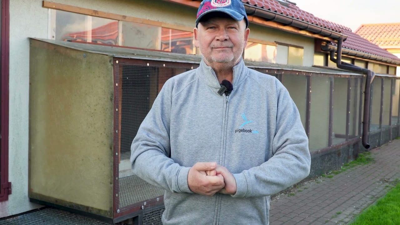 Janusz Szalkowski - Pakiety gołębi młodych