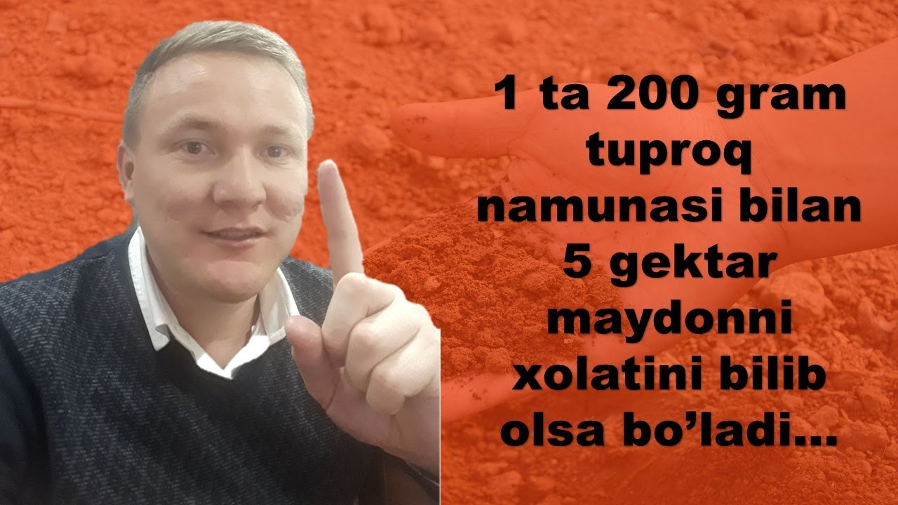 LABORATORIYA UCHUN TUPROQ NAMUNASINI OLISH /Soil sampling for laboratory analysis.