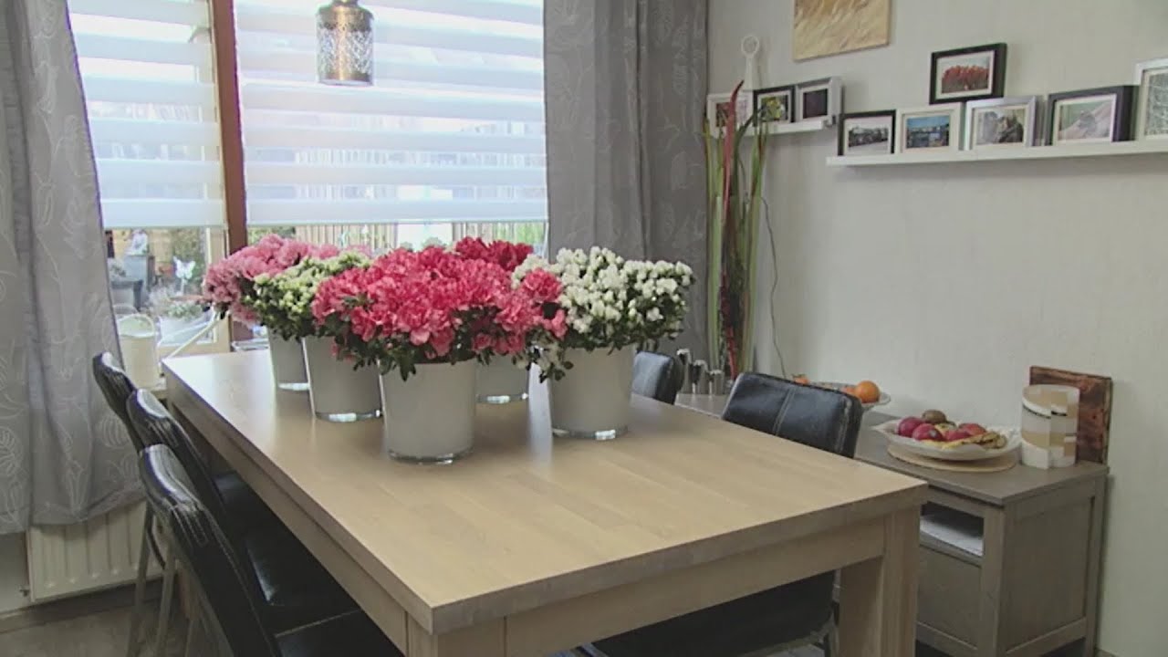 Hakbijl bij Robs Grote Tuinverbouwing aflevering 24