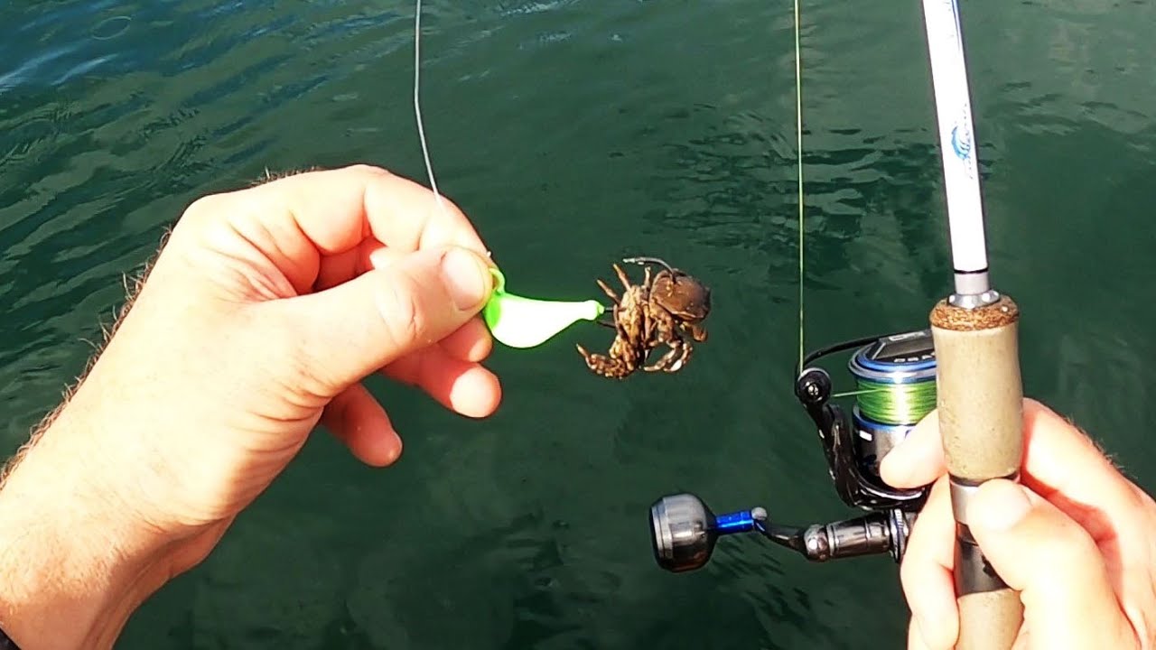 Will Frozen Crabs Work Well For Bait?