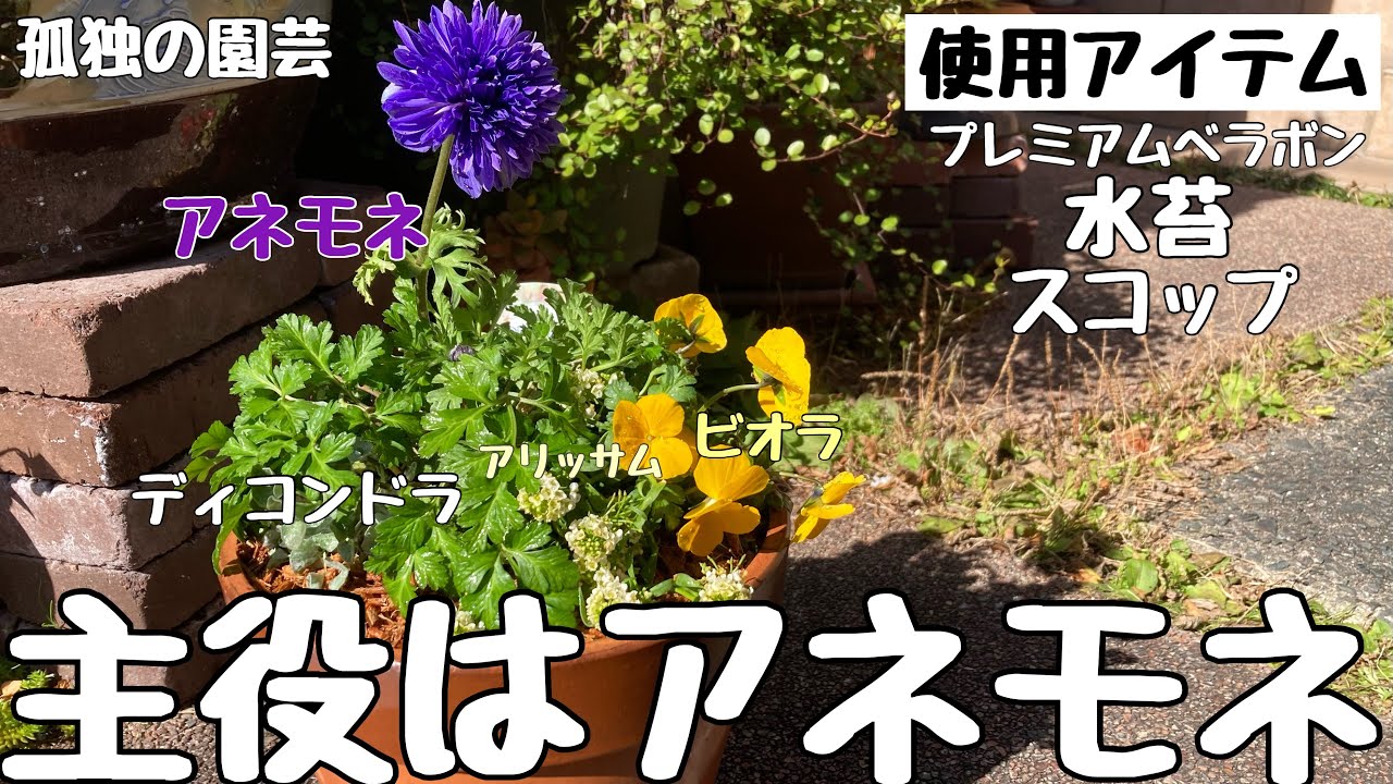 【ギャザリング】サイズアップに挑戦しました