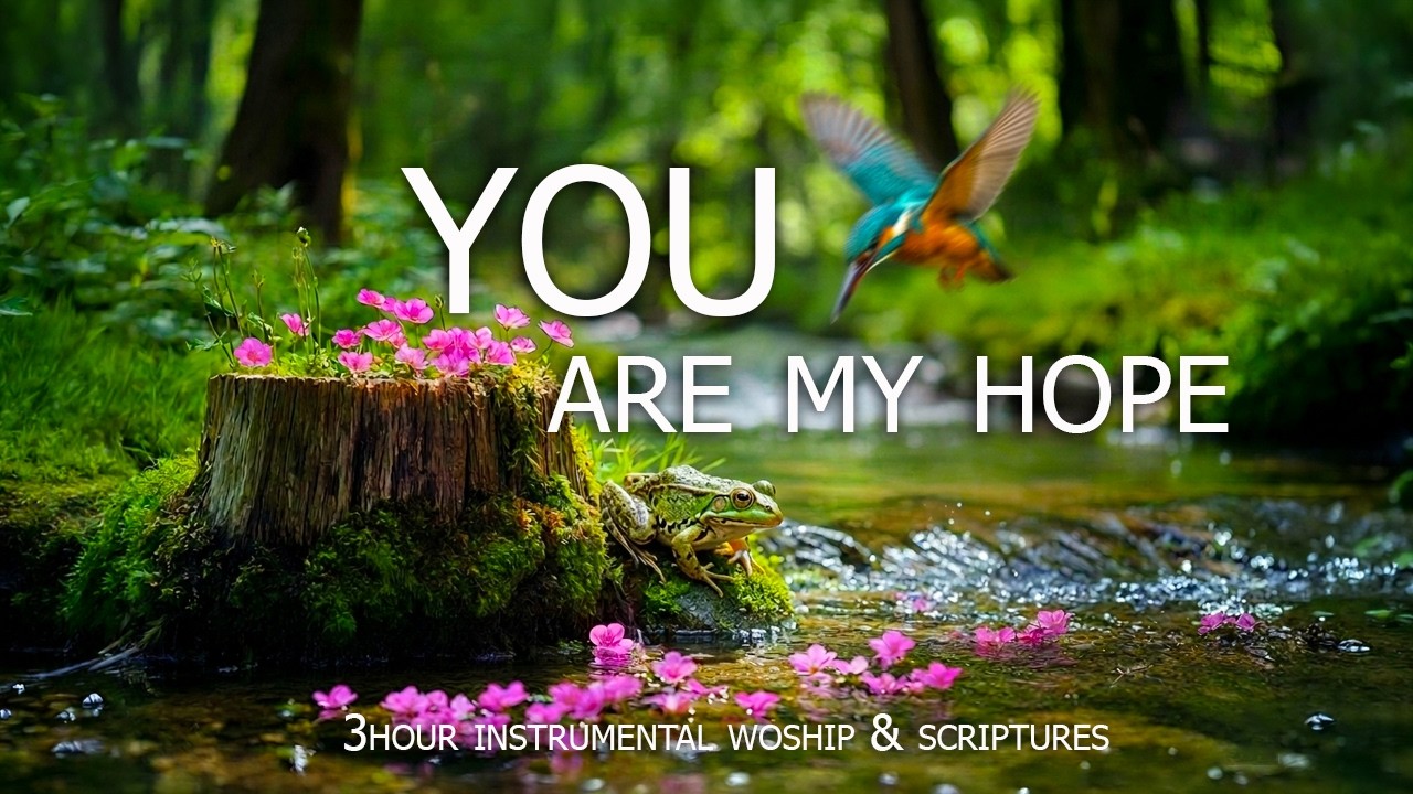 YOU ARE MY HOPE | Soft Piano Worship with Inspiring Scriptures & Peaceful Spring Scenes