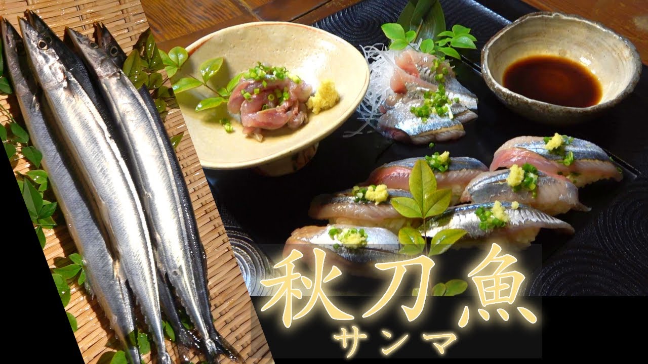 寿司職人による秋刀魚(サンマ)の握り寿司とたたきとお刺身の作り方～How to making of Pacific saury Sushi～