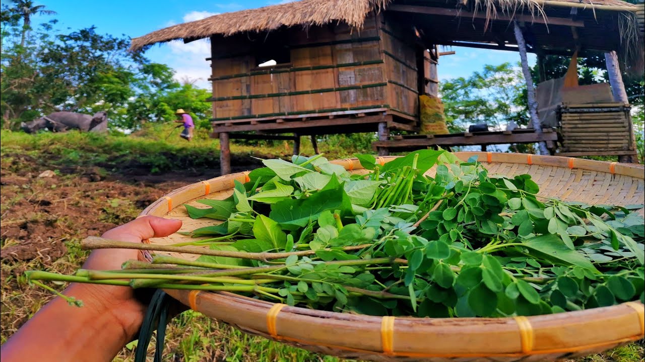 EP04 | Nag-Aararo sa bukid at kumain ng sariwang gulay | Southern Leyte, Philippines