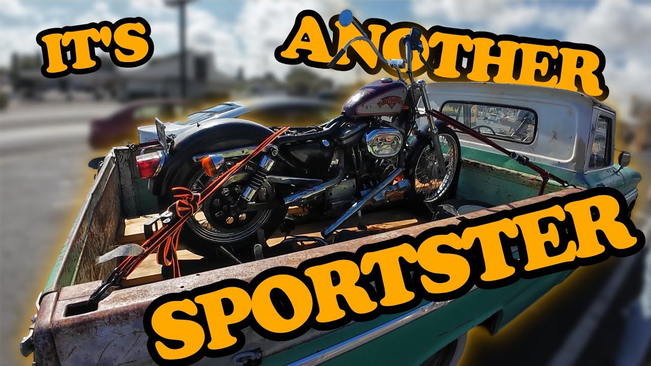 I Hauled ANOTHER Sportster 1200 Home in My 1965 GMC Truck (+Sacramento Scenic Roads)